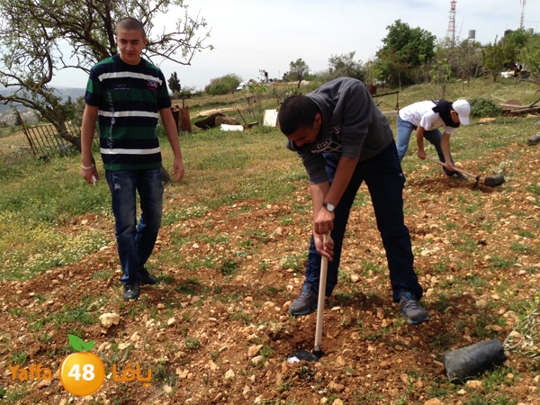 ludandyaffazaitoon (5).JPG